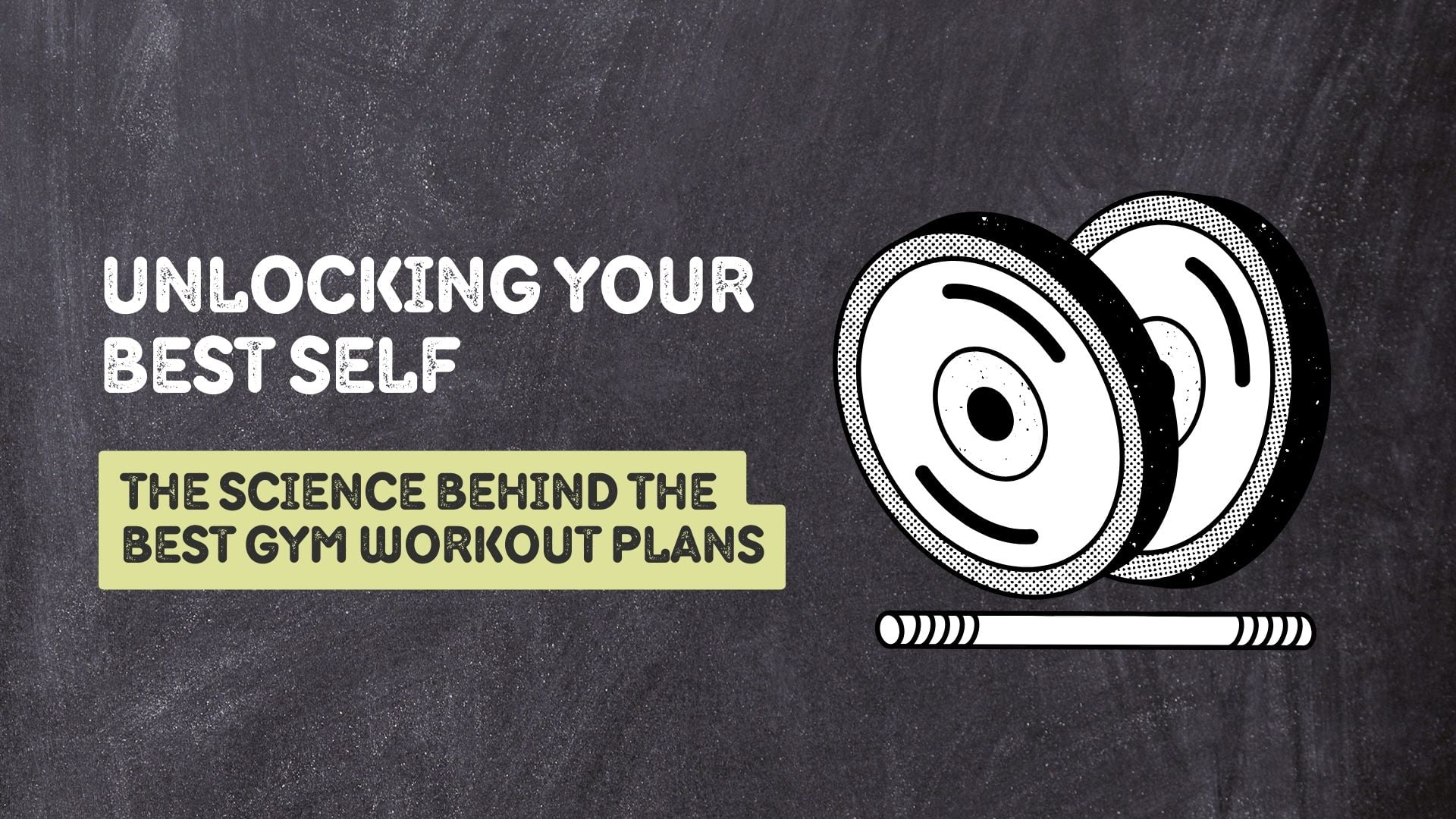 The Best Gym Workout Plans for Beginners