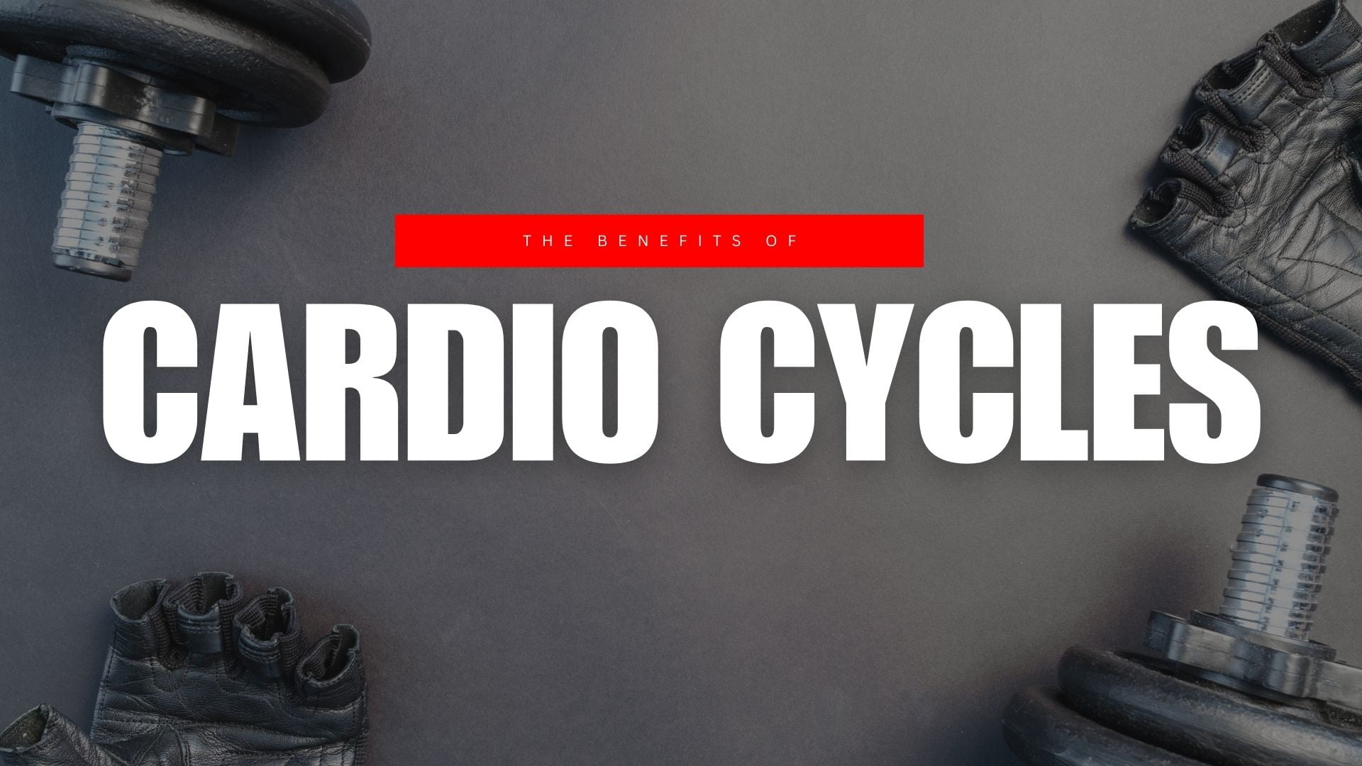 Buy Cardio Cycles on Rent